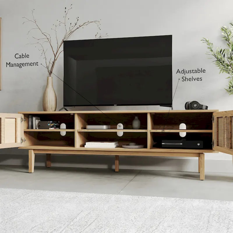 Wooden TV Stand with Doors Contemporary Media Console